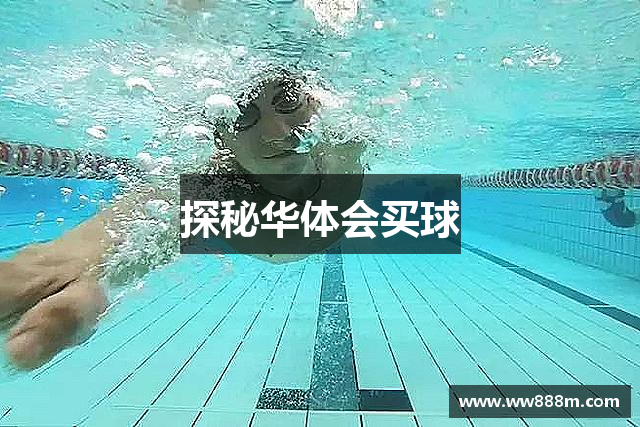 探秘华体会买球